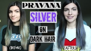 How To Pravana Silver on Dark Hair  SilverGrey Hair [upl. by Anawat]