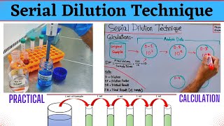 Serial Dilution Technique  For Microbiological amp Chemical Analysis  Method Example amp Calculation [upl. by Nedap]