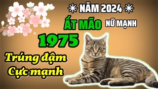 Tử vi 2024  BÁO TIN  Ất Mão 1975 Nữ Mạng làm ít lãi nhiều TRÚNG CỰC ĐẬM phất mạnh [upl. by Eelibuj]