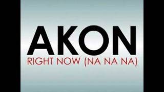 Akon  Right Now Na Na NaDark Intensity Remixwmv [upl. by Gaivn]