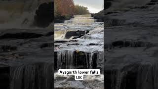 Aysgarth lower waterfall Yorkshire UK [upl. by Longerich174]