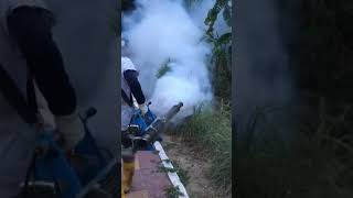 We fogging in the Garden [upl. by Tihom]