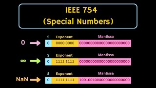 IEEE Floating Point Representation  Representation of Denormalised Numbers and Special Numbers [upl. by Riamo]