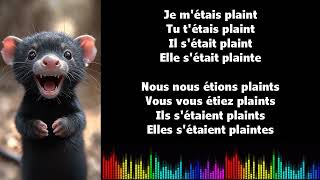 ♫ Japprends le français ♫ Conjugaison I SE PLAINDRE I Plus que parfait [upl. by Zirkle977]