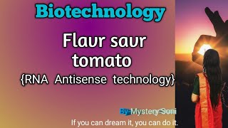 Flavr savr tomato  genetically modified plant  RNA Antisense technology  easy explanation [upl. by Carrillo310]