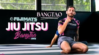 WEEKLY RECAP  Bangtao Jiu Jitsu  BJJ  Alex Schild [upl. by Cykana]