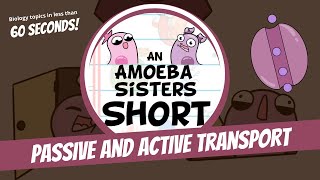 Passive and Active Transport  Amoeba Sisters Shorts [upl. by Vince17]