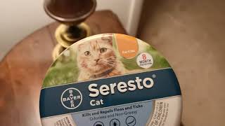 Seresto cat flea collar is a lifesaver [upl. by Eelrebmik865]