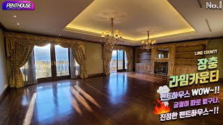 최초공개 장충라임카운티 penthouse LIME COUNTY 라임카운티 펜트하우스 WOW 궁궐이 따로 없구나 진정한 펜트하우스 끝내준다 [upl. by Natalia]