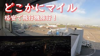 【運次第】どこかにマイルで超お得な旅！ [upl. by Ludovico]