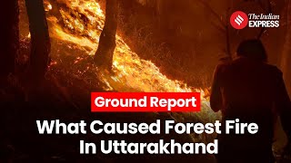 What Caused The Uttarakhand Forest Fire  Ground Report [upl. by Longfellow414]