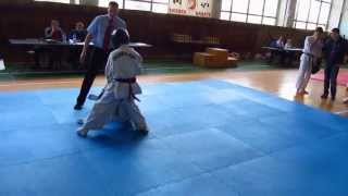 Ashihara Karate Ukraine Enshin Karate Ukraine Ukrainian Sabaki Challenge 2013 [upl. by Mariele]