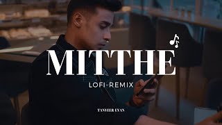 Mitthe   মিথ্যে  Lofi Remix  Bangla Lofi  Tanveer Evan  Lyrical Video [upl. by Aihsenor541]