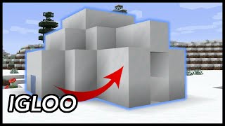 What Is Inside An Igloo In Minecraft [upl. by Poyssick7]