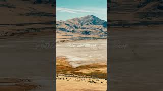 Antelope Island State Park antelope nationalparks healing nature travelphotography videography [upl. by Ahsauqram]