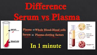 Plasma vs Serum  Difference between plasma and serum  Biology lectures [upl. by Jerrilee]