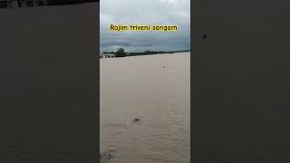 Rajim triveni sangam 2024 shorts shortvideo chhattisgarhbhraman [upl. by Stanislaus]