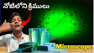 World Cheapest Microscope  Making Simplest Microscope Using Laser  నోట్లో ఇన్ని క్రిములు ఉంటాయా 😮😮 [upl. by Ait]