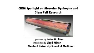 Duchenne Muscular Dystrophy and Stem Cell Research  Helen Blau Stanford Medicine [upl. by Mungovan]