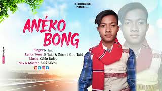 ANÉKO BONG NEW MISING SONG 2025 R TAID [upl. by Annot827]