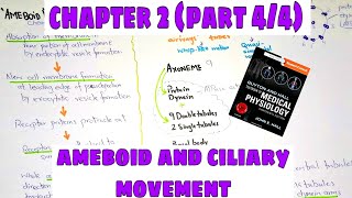 Ameboid movement Ciliary movement  Chapter 2part44 Guyton and Hall Text Book of Medical Physio [upl. by Hearn]