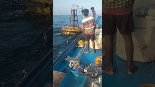 Fishing boat ⛵fishingboat trendingshorts viralvideo Fishingismylifesgoal [upl. by Heffron]