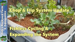 Chop amp Flip DIY Aquaponic Update Fishless Cycling amp Expanding the System [upl. by Bradwell964]