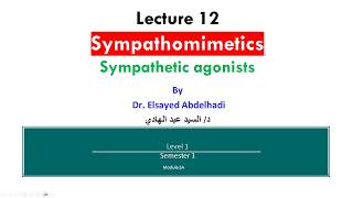 Lecture 12 Sympathetic Agonists  Dr Elsayed Abdelhad i 2023  2024 [upl. by Ilrahs]