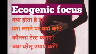 Echogenic focus  Complete Detail In Hindi [upl. by Feinleib]