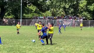 ACADEMIA NB vrs AUSOLES Resumen [upl. by Eirahcaz]