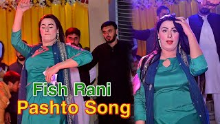 Salgai Salgai  Fish Rani Dance Performance  Pashtoo Song  Punjab Studio Official [upl. by Alyl]