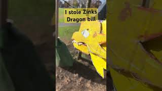 I found Zinks dragon Bill growing on a treedragonpuppets dragonpuppeteer [upl. by Volny880]