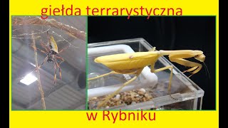 31 Giełda terrarystyczna w Rybniku [upl. by Mathia]