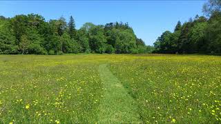 Calm meadow [upl. by Arianie]