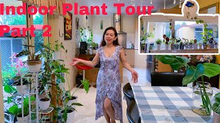 Indoor Plant Tour 2021 Part 2  2nd Part of my 170 Houseplant Collection [upl. by Pastelki249]