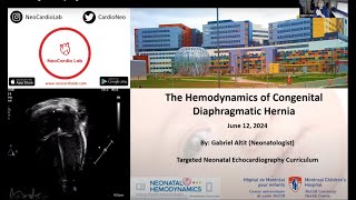 Hemodynamics of Congenital Diaphragmatic Hernia [upl. by Annirak923]