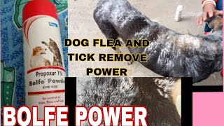 Best Tick Powder For Dog  Flea And Tick Remove For 2 Minutes In Dogs Body [upl. by Aratehs]