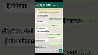 Discussion WhatsApp avec mon chat [upl. by Aziaf]