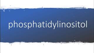 How to pronounce phosphatidylinositol [upl. by Eizus]