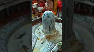 Kashi vishwanath mantra🙏 kashi kashivishwanath mahakal mahadrv shiv youtubeshorts shorts [upl. by Lib507]