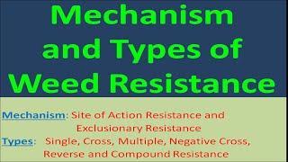 Mechanism and Types of Weed Resistance [upl. by Ennayrb]