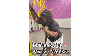 14 Week Cut ✂️ Day 12  Week 2 [upl. by Nilpik]