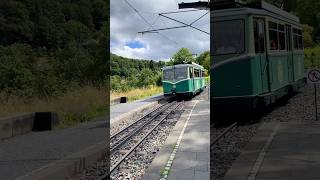 Drachenfelsbahn Königswinter ドラゴン城の登山電車 königswinter zahnradbahn reise travel [upl. by Bruno]