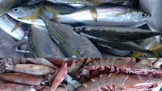 DUMAGSA ANG MGA SEAFOOD NGAYON AT MURAPAfishportjulugan1tanzacavitefish food harabas fyp [upl. by Layton]