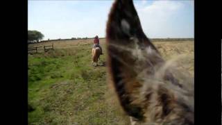 Riding on Exmoor April 2011 [upl. by Marder644]