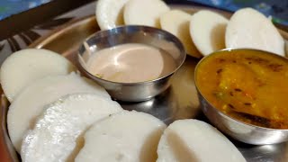 Idli Sambhar And Badaam Chuteny Shorts idli [upl. by Saddler]