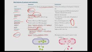 Exotoxins and Endotoxins Bacteria with exotoxins  Microbiology  6  First Aid USMLE in UrduHindi [upl. by Ylrebmyk611]