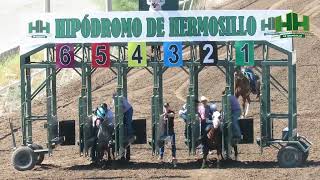 Carreras de Caballos 29 de Octubre 2023 Hipódromo de Hermosillo [upl. by Adia883]