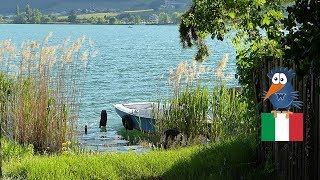 Kalterer See  der wärmste Badesee der Alpen inkl Seerundweg und Slackline Wettbewerb in Südtirol [upl. by Karim]