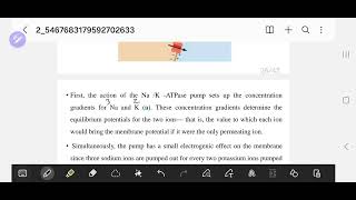 resting membrane potential  action potential [upl. by Anjali218]